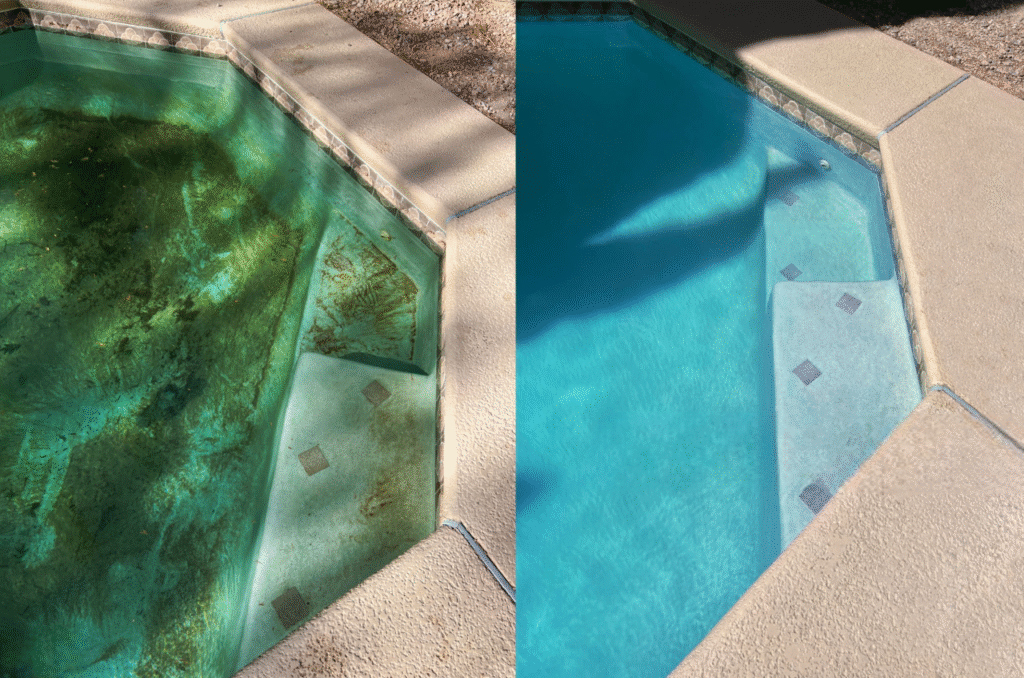 eau de piscine verte remède de grand-mère