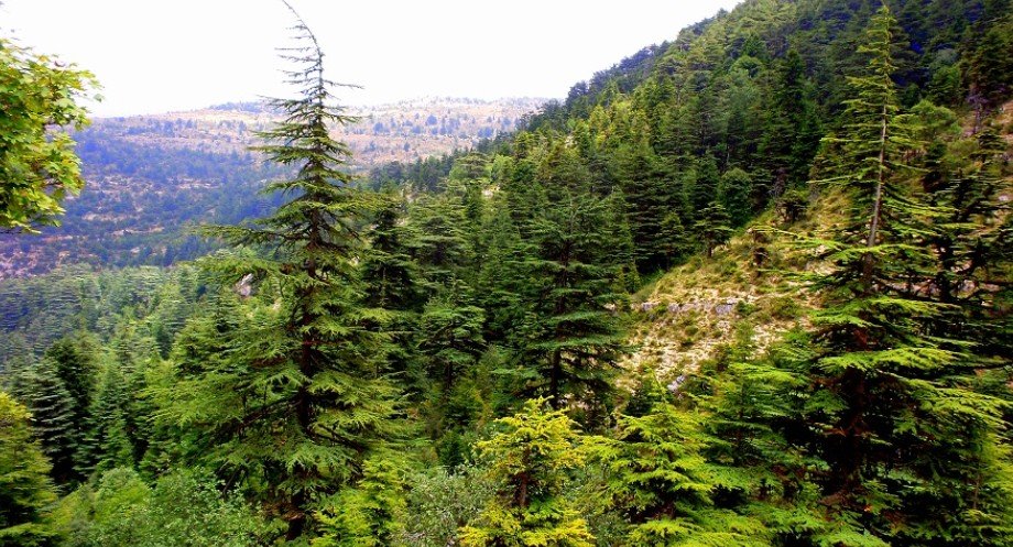 latitude : 34.307701 longitude : 35.996101 latitude : 34.307701 longitude : 35.996101