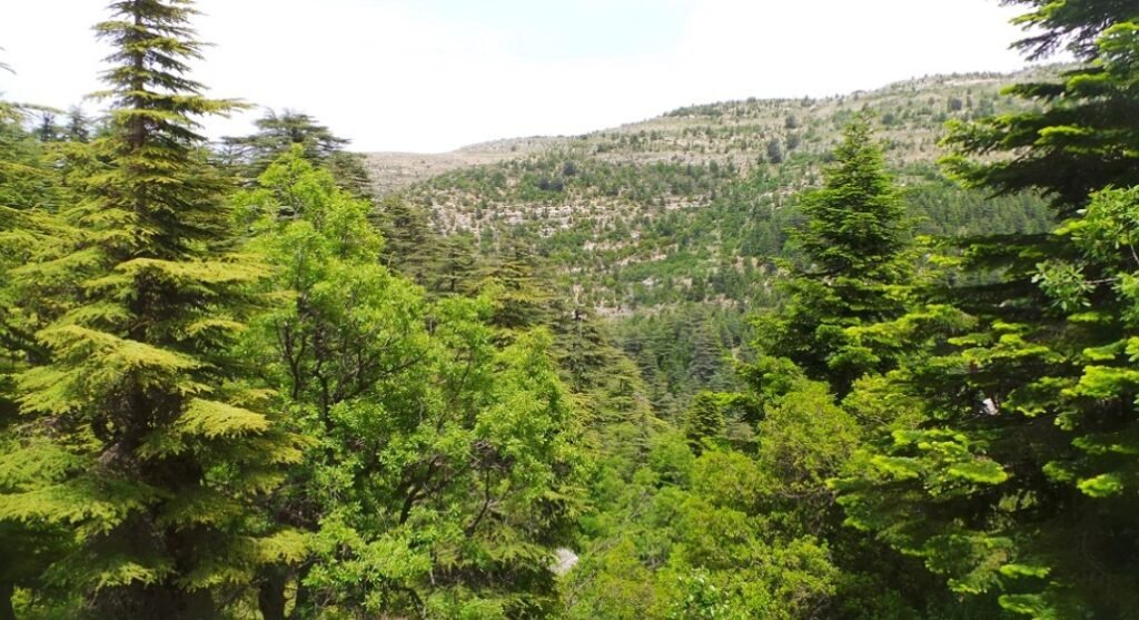 latitude : 34.307701 longitude : 35.996101 latitude : 34.307701 longitude : 35.996101