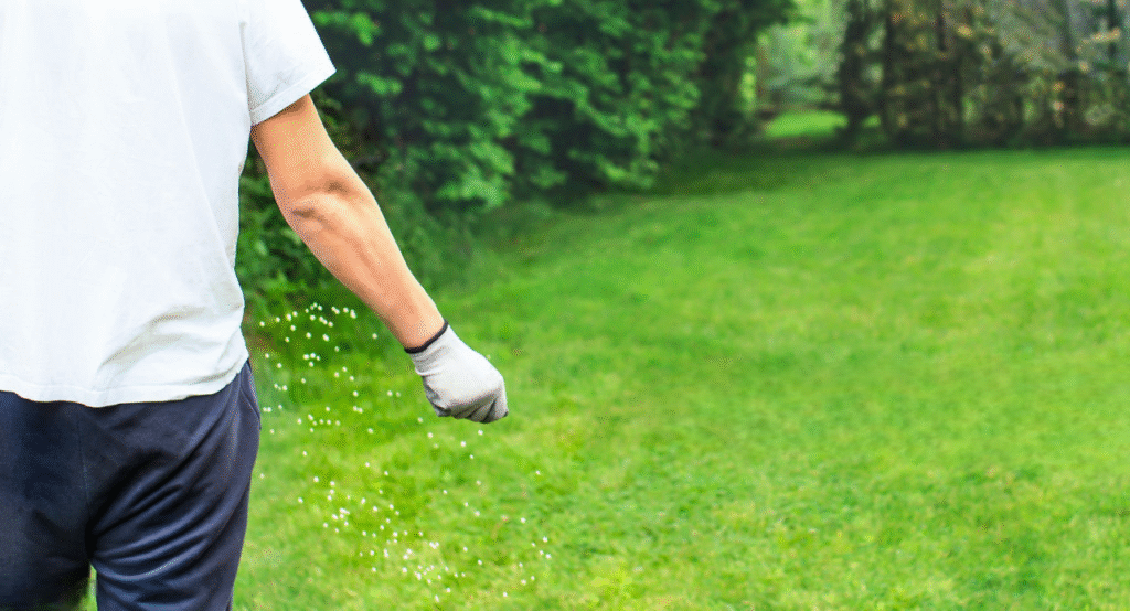 semer pelouse sans retourner terre semer pelouse sans retourner terre