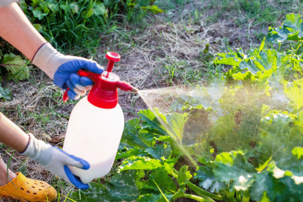 vinaigre blanc désherbant interdit