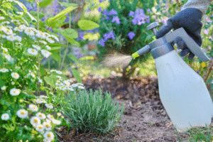 vinaigre blanc désherbant interdit